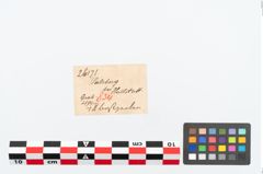 Etikett zu Perlenkette (NHMW-PRAE-026171)